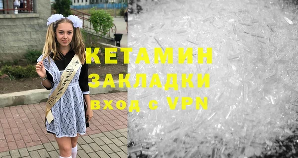 сатива Дмитровск