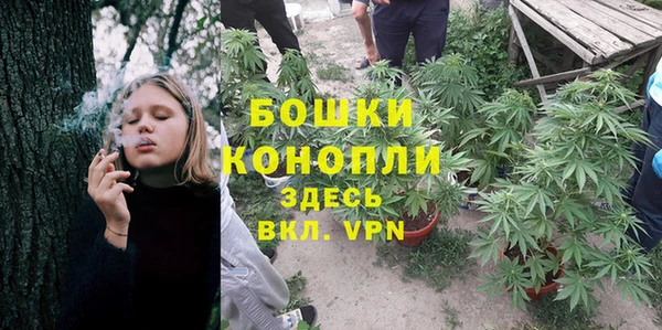 ALPHA-PVP Дмитриев
