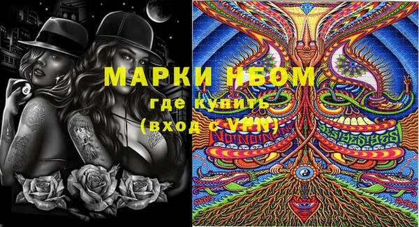 ECSTASY Дмитров