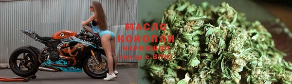 сатива Дмитровск