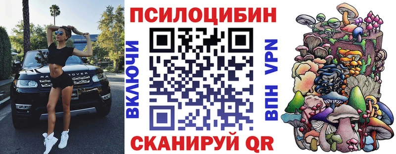 ссылка на мегу ССЫЛКА  Ефремов  Галлюциногенные грибы мухоморы 